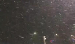 下雪的视频,冬日雪景视频赏析